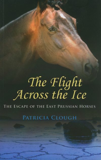 Flight across the Ice